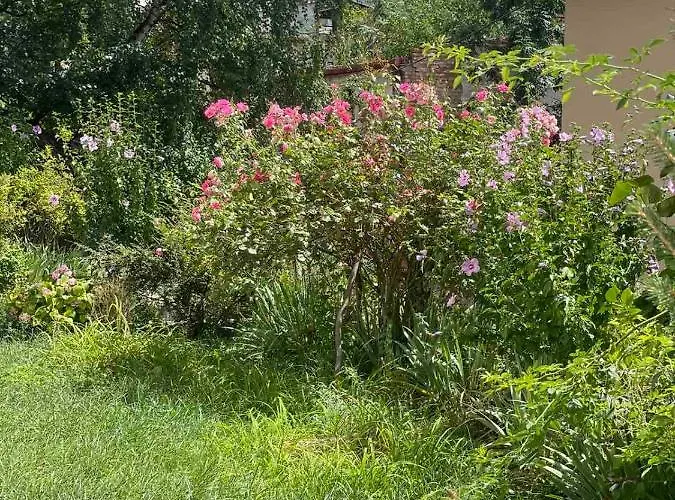 House Of Διαμέρισμα